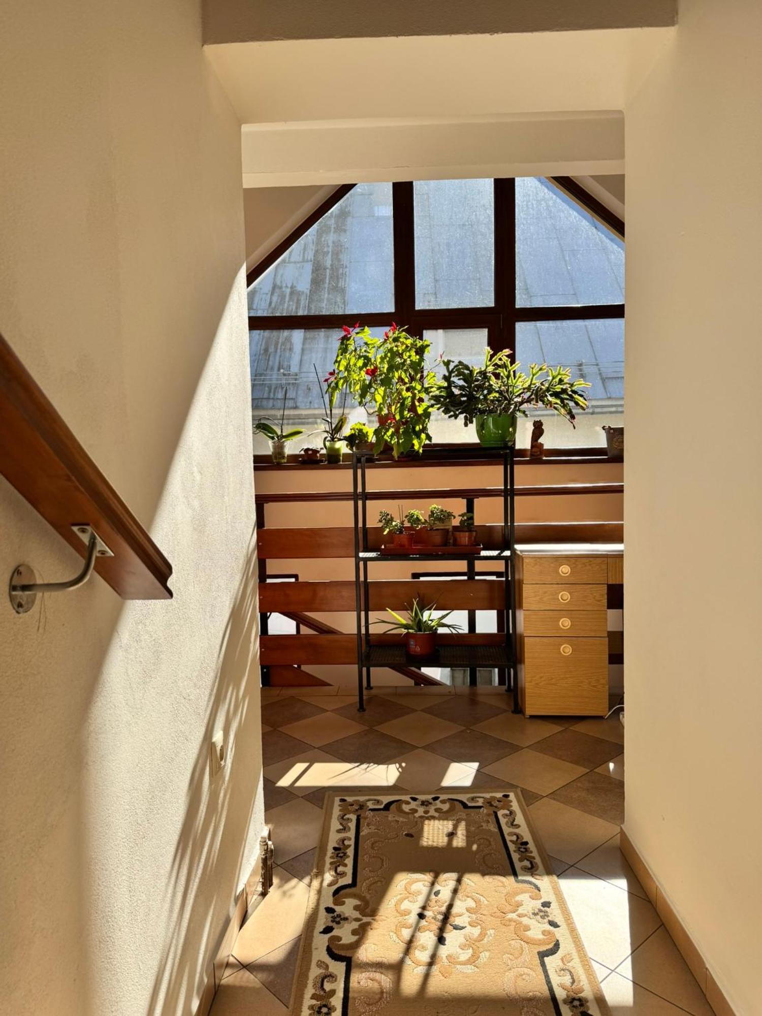 Apartmany Kenka Spisska Stara Ves Buitenkant foto