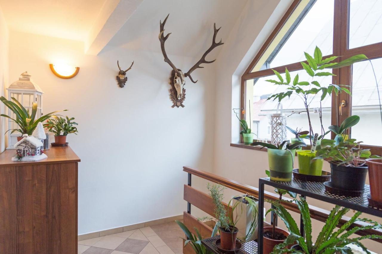 Apartmany Kenka Spisska Stara Ves Buitenkant foto